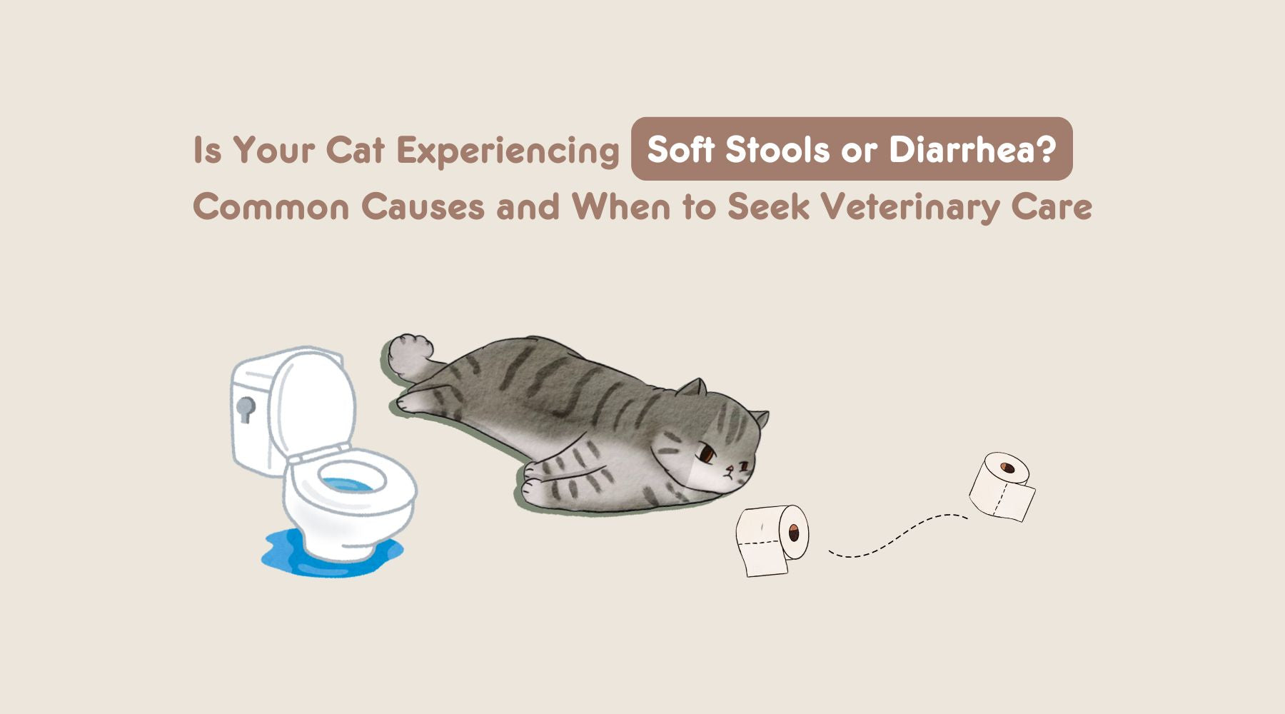 Is Your Cat Experiencing Soft Stools or Diarrhea? Common Causes and When to Seek Veterinary Care
