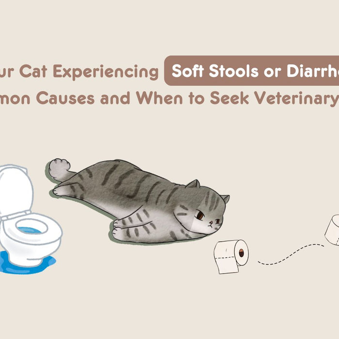 Is Your Cat Experiencing Soft Stools or Diarrhea? Common Causes and When to Seek Veterinary Care
