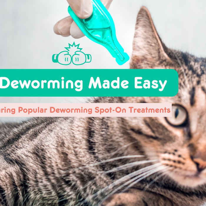 Cat Deworming Made Easy: Comparing Popular Deworming Spot-On Treatments