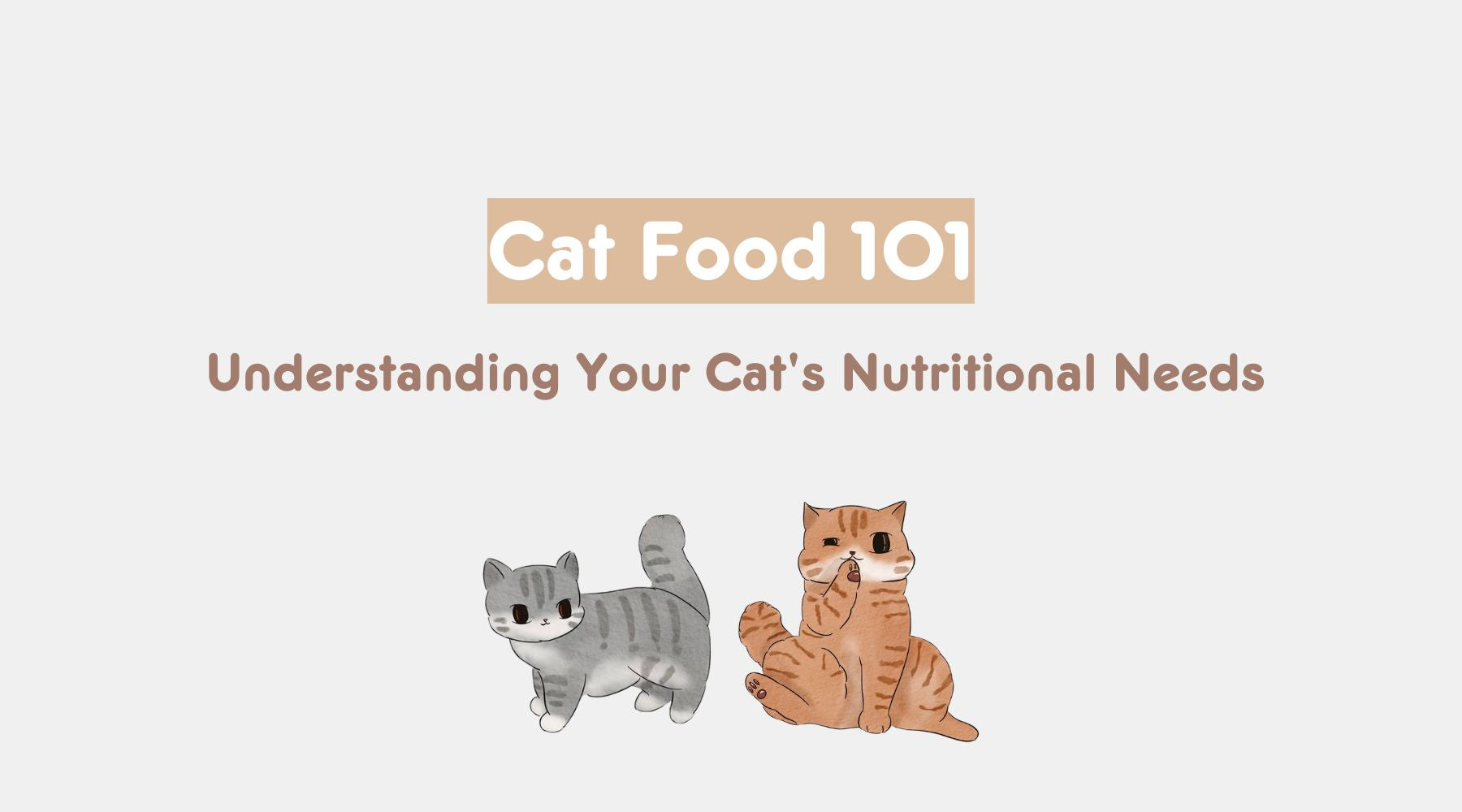 Cat Food 101: Understanding Your Cat's Nutritional Needs