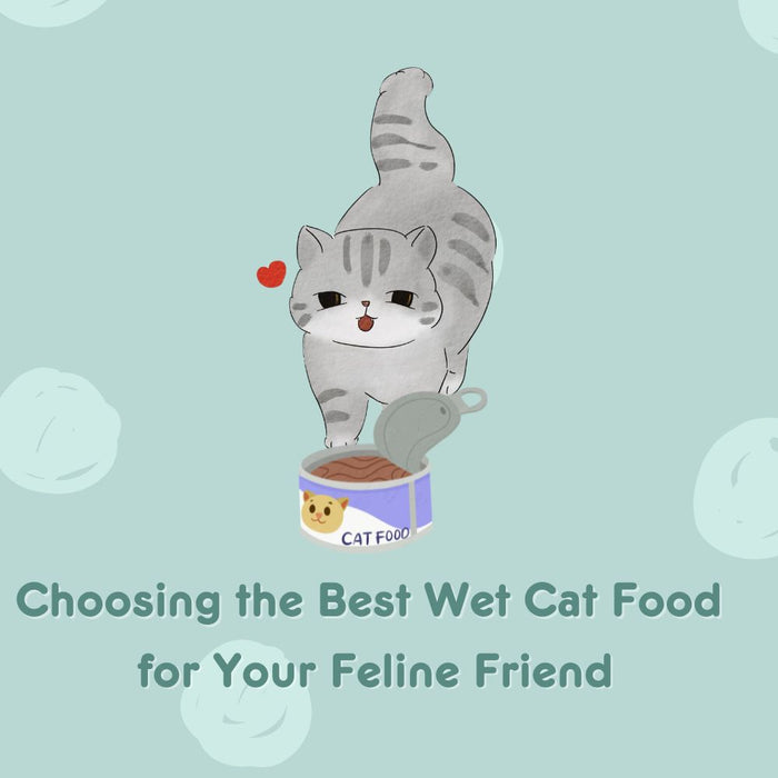 The Ultimate Guide to Choosing the Best Wet Cat Food for Your Feline Friend
