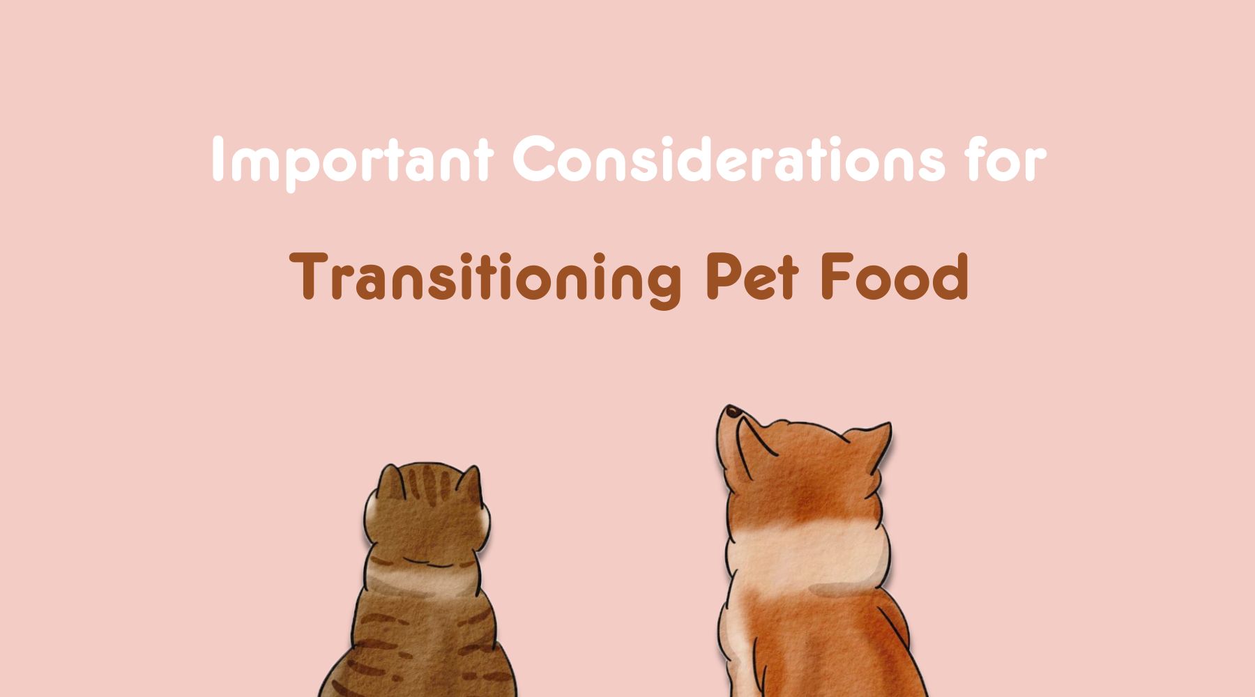 Important Considerations for Transitioning Pet Food