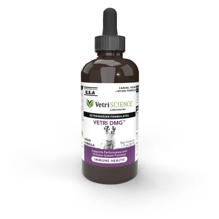 Vetri DMG™ Immune Support for Dogs & Cats (30ml)