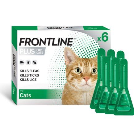 Frontline Plus - Fleas and Ticks Prevention for Cats 6 Pips