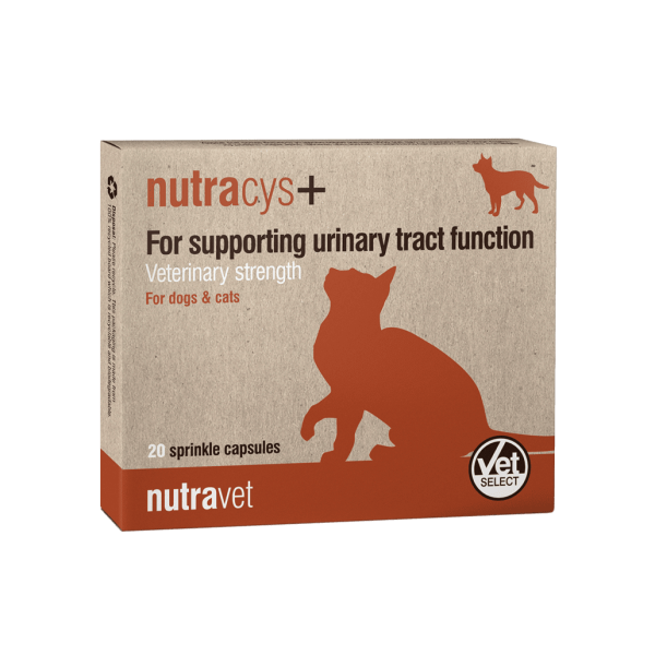 Nutracys+ – Veterinary Strength Support for Healthy Urinary Tract Function (220 Capsules)