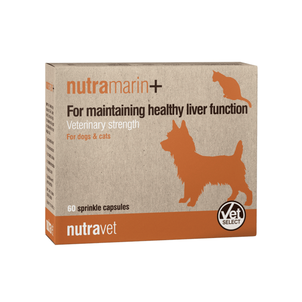 Nutramarin+ – Veterinary Strength Support for Healthy Liver Function (60 Capsules)