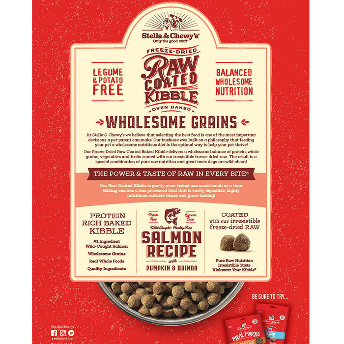 Stella & Chewy's Raw Coated Kibble For Dogs , Wholesome Grains Salmon with Pumpkin & Quinoa [Weight : 22lb]