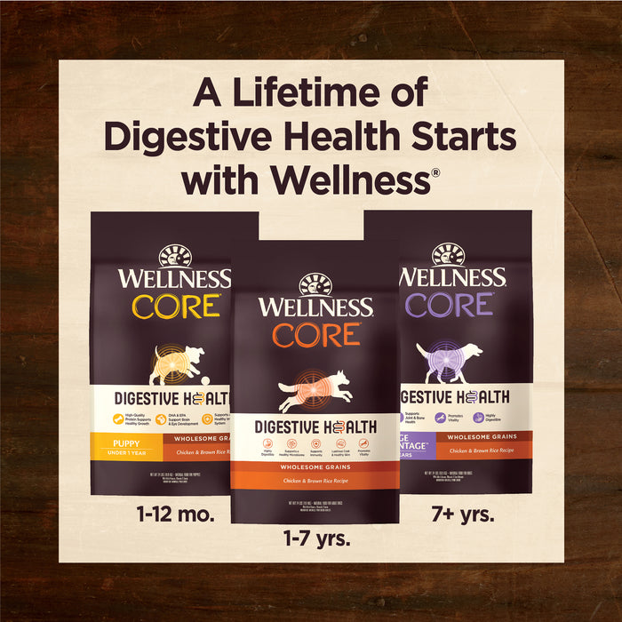 Wellness CORE Digestive Health Puppy Chicken & Brown Rice Recipe Dry Dog Food [Weight: 4 lb]