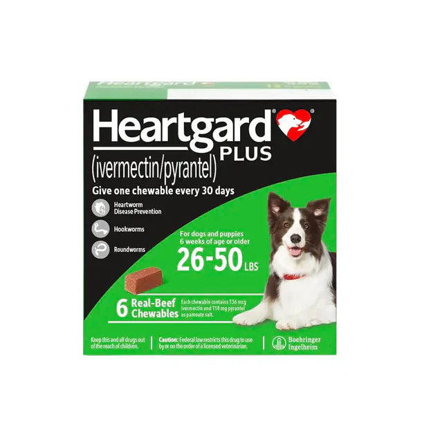 Heartgard Plus Chewables Heartworm, Roundworm, and Hookworm Prevention for Dogs