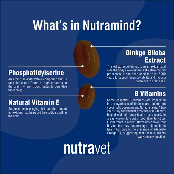Nutramind - high strength support for brain & mental function 45 Cap
