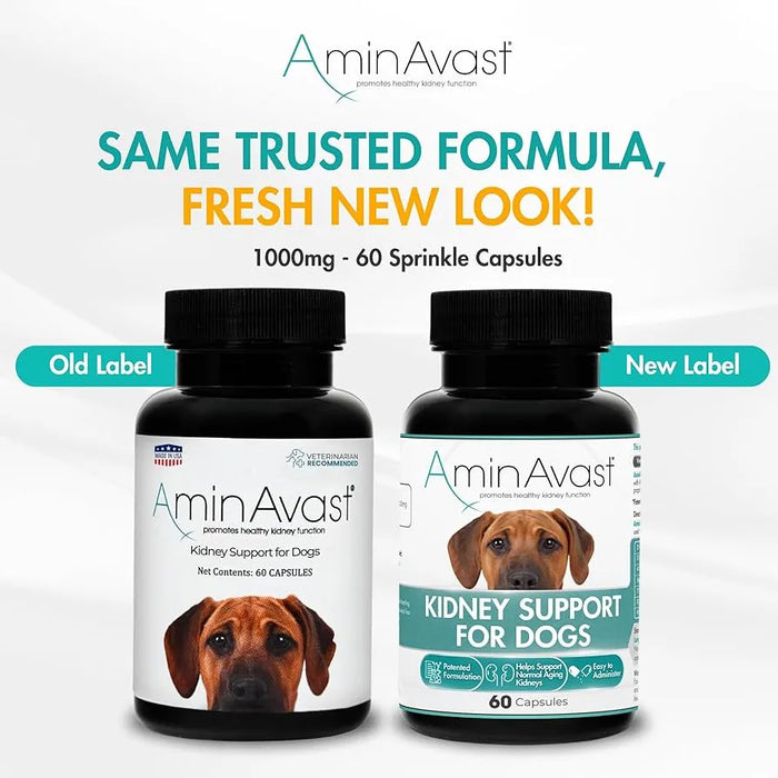 AminAvast® Kidney Health Supplement for Dogs (60 Capsules)