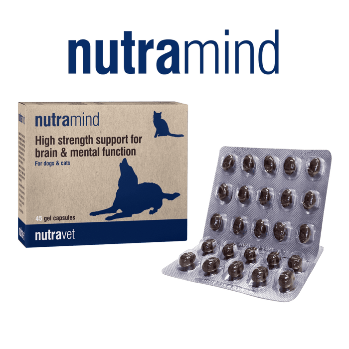 Nutramind - high strength support for brain & mental function 45 Cap