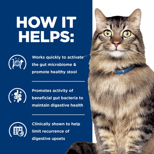 Hill's Prescription Diet - Gastrointestinal Biome Dry Cat Food