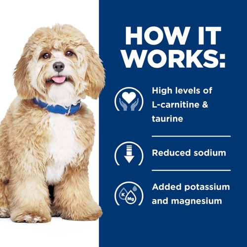 Hill's Prescription Diet - h/d Chicken Flavor Dry Dog Food