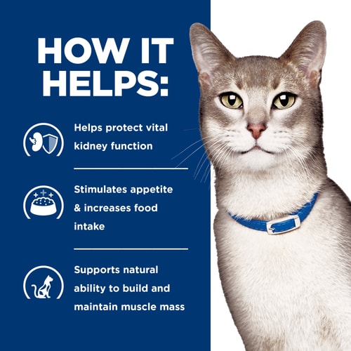 Hill's Prescription Diet - k/d Kidney Care Pâté with Chicken Wet Cat Food